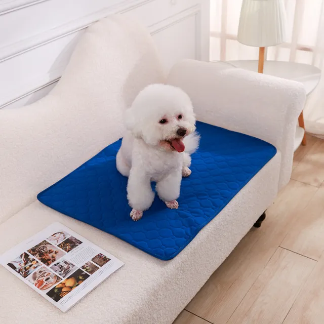 Urinal Pad For Pet Washable Dog Diapers Non slip Absorbent Easy To Dry Blue - Shop at LoveMi