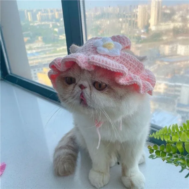 Pet Hood Cat Dog Knitted Hat Prop Headdress Pink Floral - Shop at LoveMi