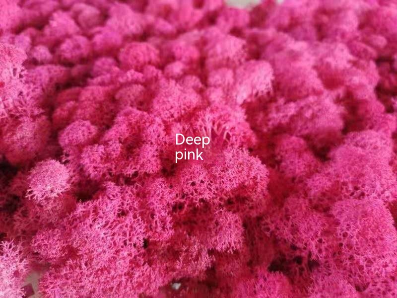 Dark Pink 500g