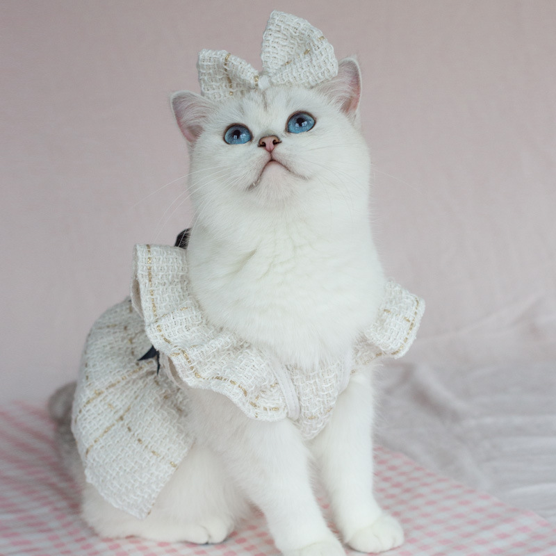 White Clothes Headdress Flower