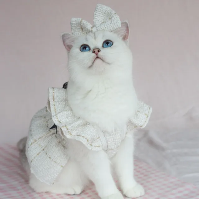 Woven Flying Shoulder Sleeve Skirt Dog Cat Pet Clothes White Clothes Headdress Flower - Shop at LoveMi