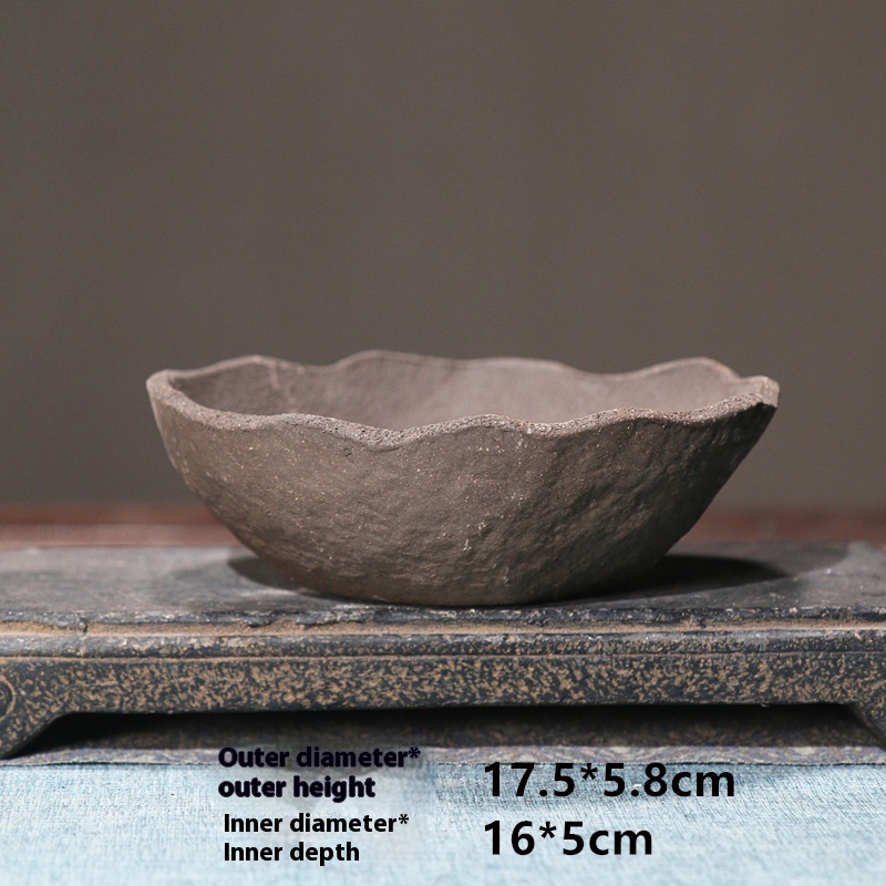 Bowl shape 2 With Holes