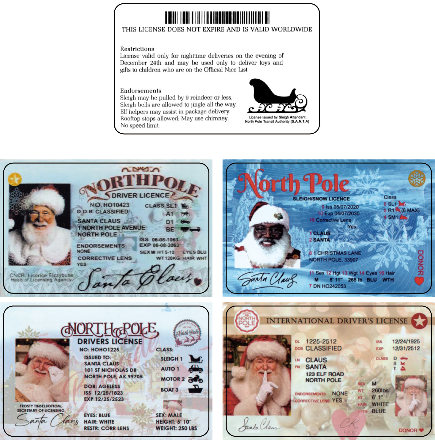 Title 6, Christmas Gift For Children Sled Driving License