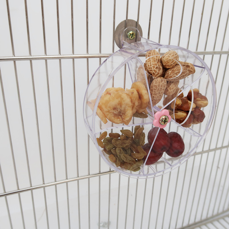 Parrot Supplies Toy Bird Acrylic Foraging Wind Wheel Transparent - Shop at LoveMi