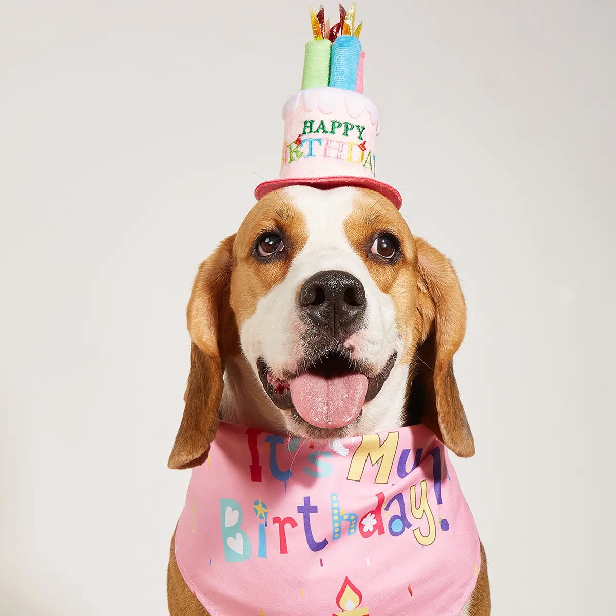 Creative Printing Dog Triangular Binder Birthday Saliva