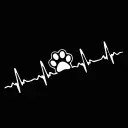 Car ECG Creative Heartbeat Motorcycle Body Bumper Decorative Stickers view 9
