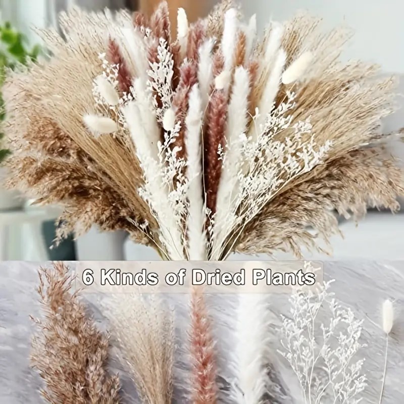 https://cf.cjdropshipping.com/quick/product/0a26460a-a024-48e5-a22c-32712a4a9684.jpg