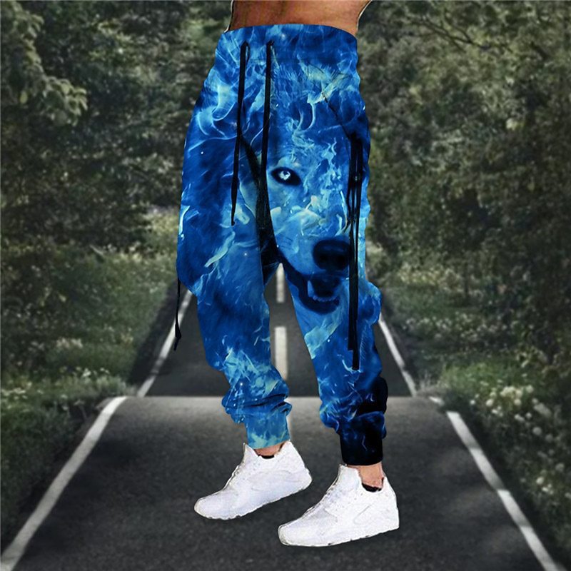 Drawstring Elastic Waist Retro Harem Pants With 3D Animal Print Mens Athletic Trousers