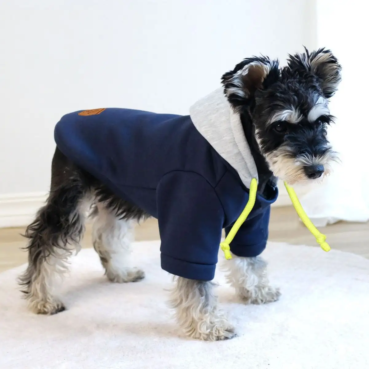 Pet Clothing Clothes Simple Hooded Pullover Contrast