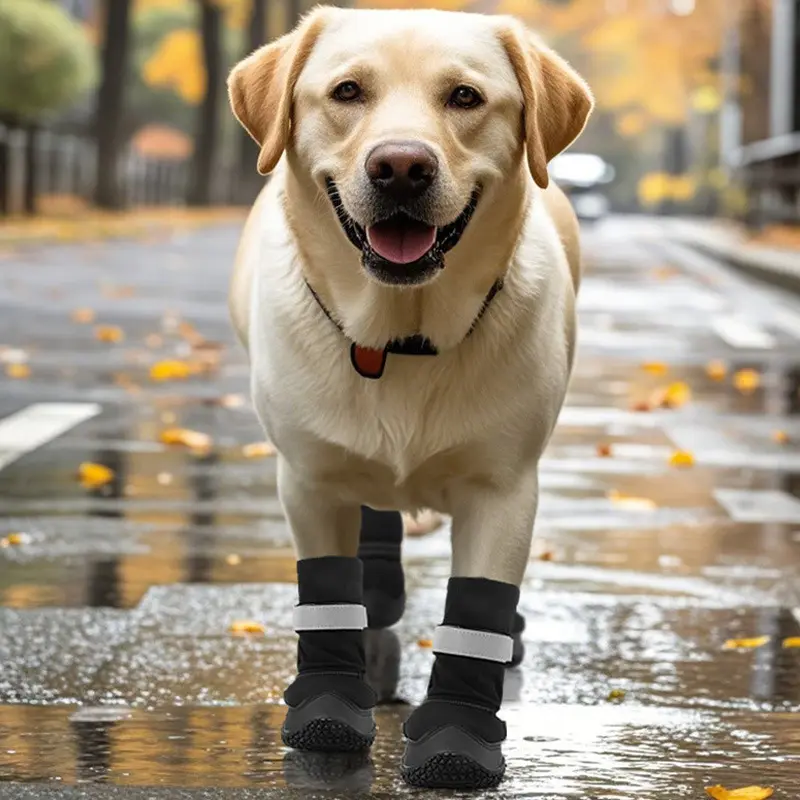 Extended Medium Large Dog Shoes