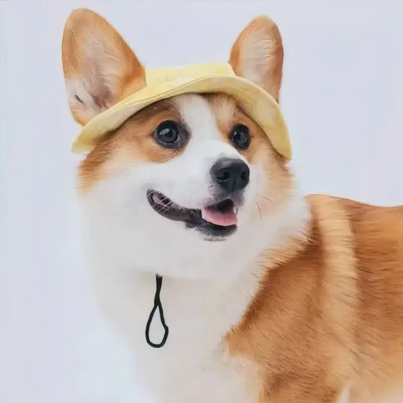 Dog Ears Exposed Comfortable Breathable Sun Hat