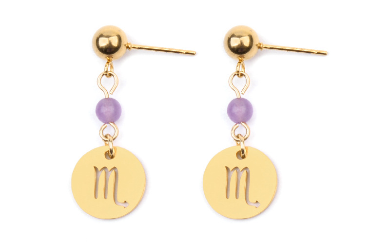 Stainless Steel Twelve Constellation Earrings