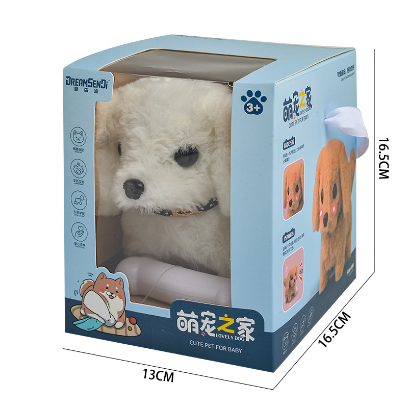 Bichon Frise Medium Box