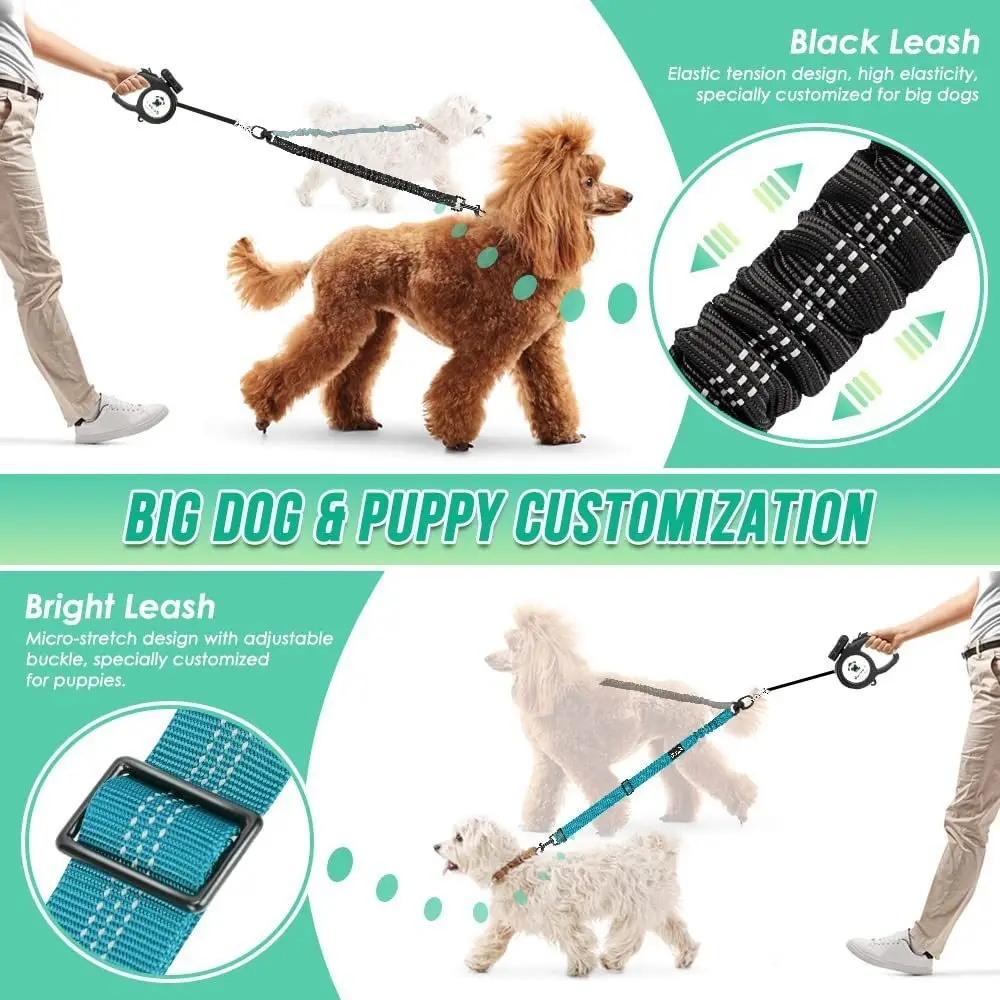 One Leash Two Large Dog And Anti