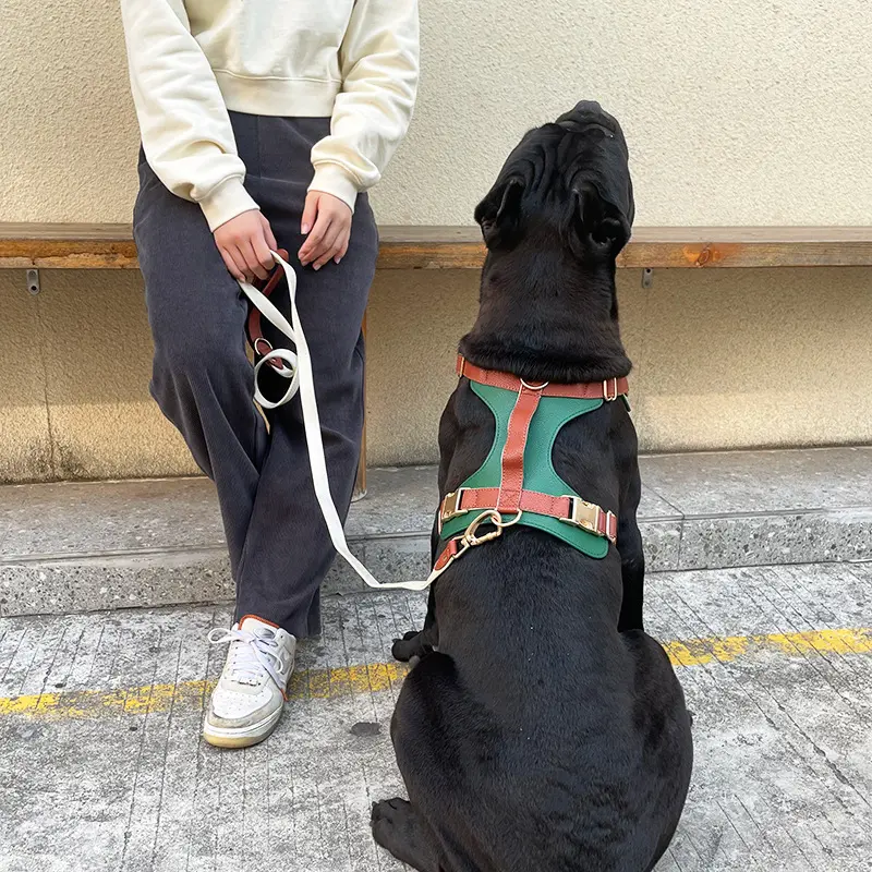 Luxury Leather Dog Harness And Leash