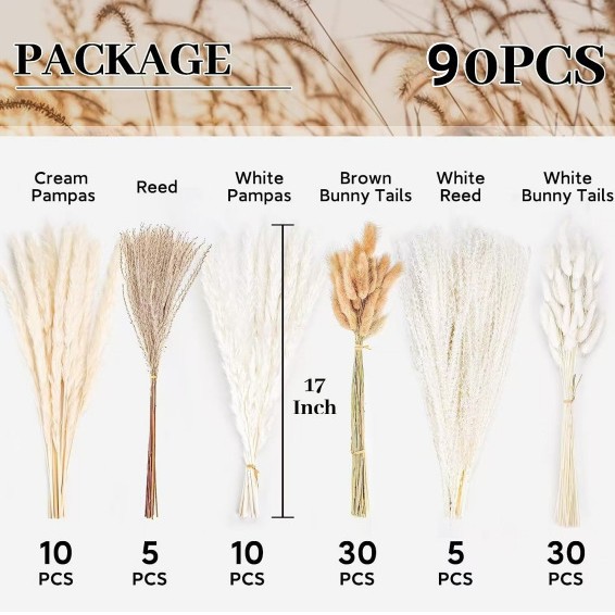 https://cf.cjdropshipping.com/quick/product/0cd5ce87-a675-4cdd-94ee-a73dd576b113.jpg