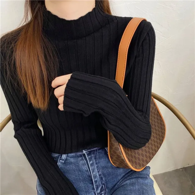 Mink Sweater Inner Thickened Bottoming Shirt For Women A099 Black - Shop at LoveMi