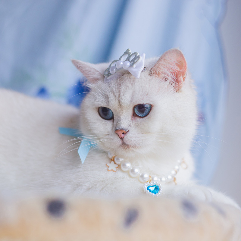 Necklace And Headdress Flower