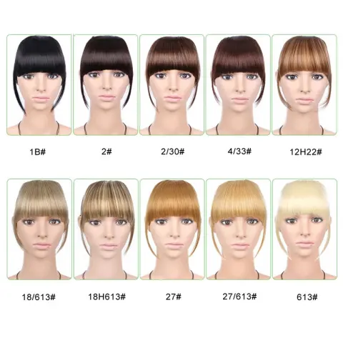 Womens Side-swept Bangs with Hair Clips Synthetic -style Wig