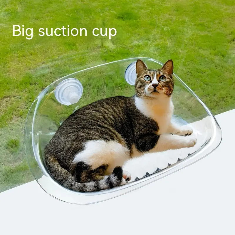 Summer Suction Cup Window Glass Hanging Suspension