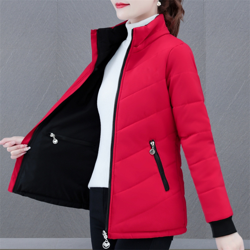 https://cf.cjdropshipping.com/quick/product/0f1e8150-d6dc-47b2-b3a7-1847a03cee3d.jpg