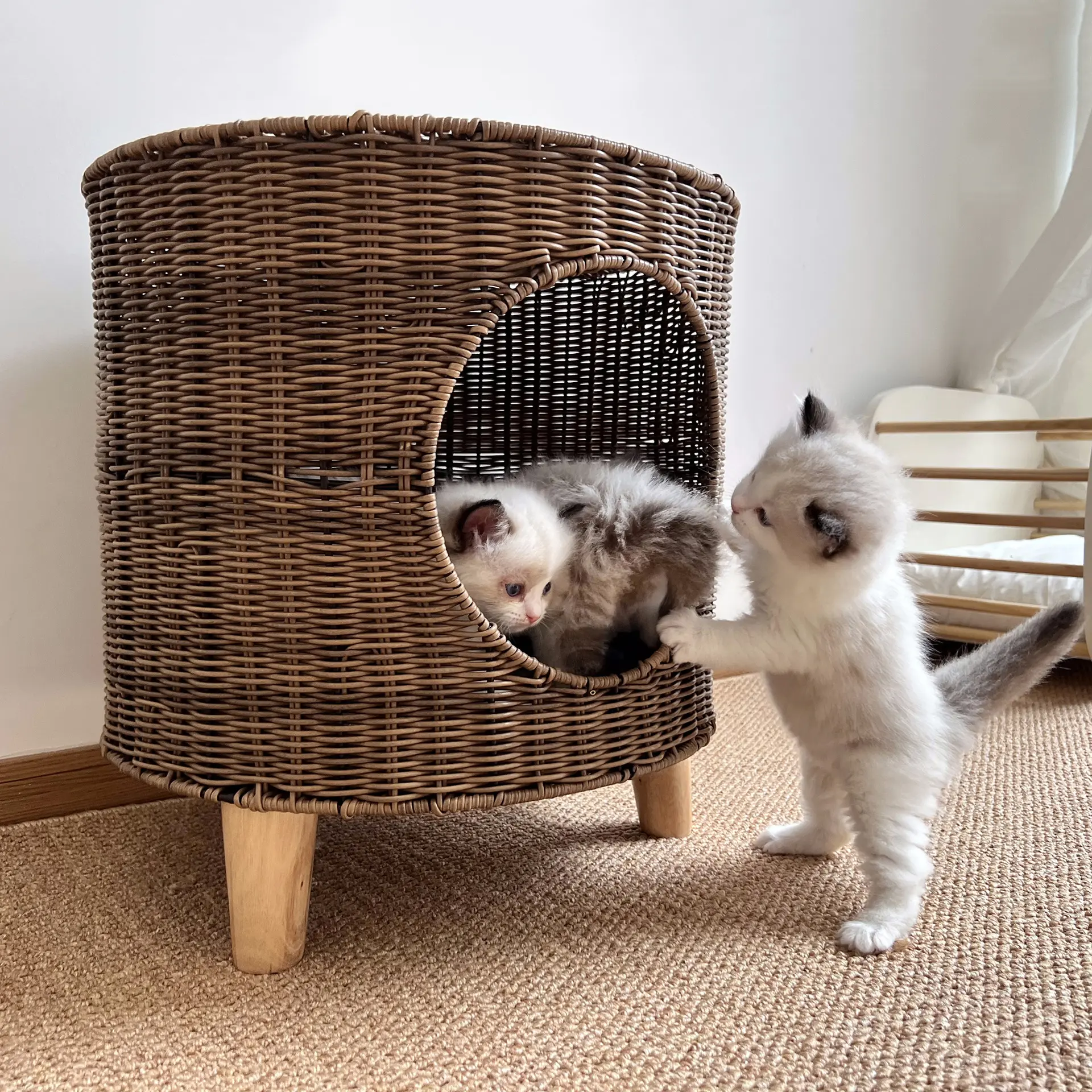 Warm, Semi-enclosed Wicker Cat Bed