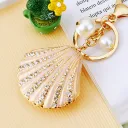 Shell Champagne