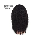Burmese Curls