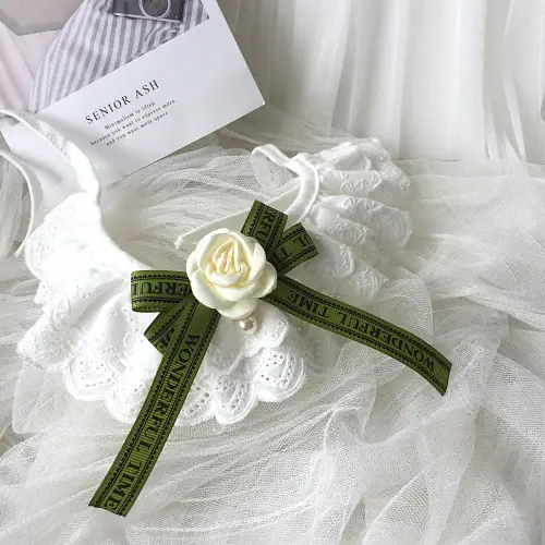 Fashion Personality Lace Pet Scarf