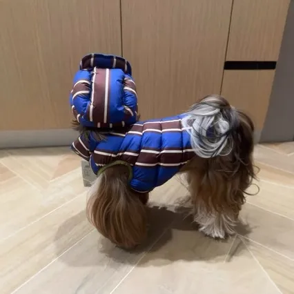 Cute And Warm Cotton-padded Coat