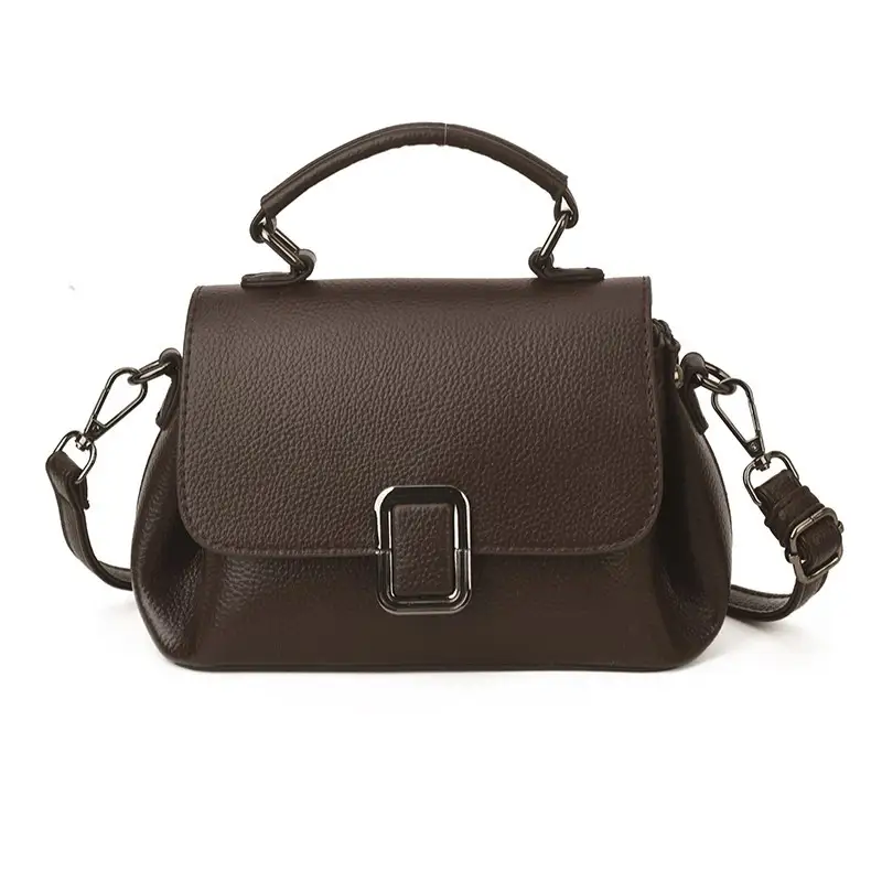 Niche Luxury Handbag Crossbody Bag Womens New Versatile Style