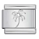 Coconut Tree Y456