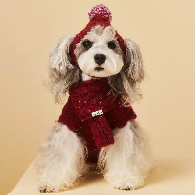 Pet Dog Supplies Accessories Wool Hat Scarf Red Hat Scarf - Shop at LoveMi