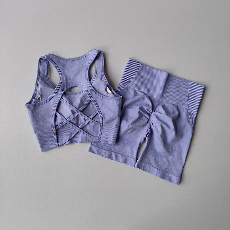 Quick drying Sports Suit Women's Seamless Yoga Suit Yoga Clothes Shorts Two piece Set Violet Bra Shorts - Shop at LoveMi