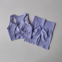 Quick-drying Sports Suit Women's Seamless Yoga Suit Yoga Clothes Shorts Two-piece Set - Violet Bra Shorts - View 1