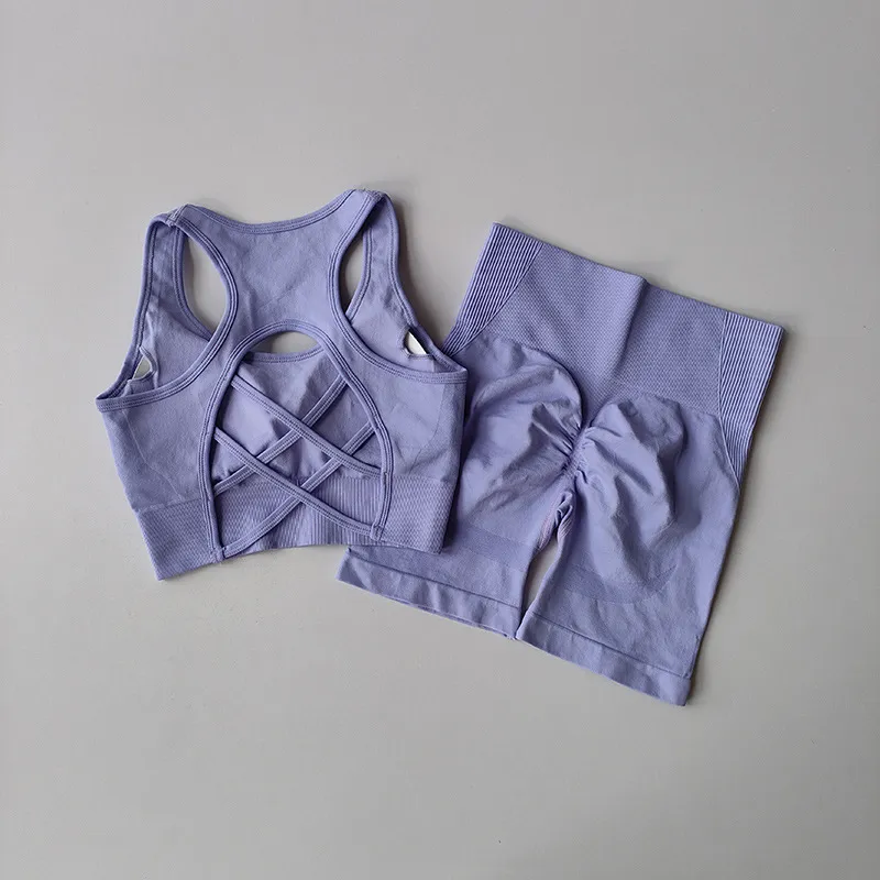 Quick-drying Sports Suit Women's Seamless Yoga Suit Yoga Clothes Shorts Two-piece Set - Violet Bra Shorts