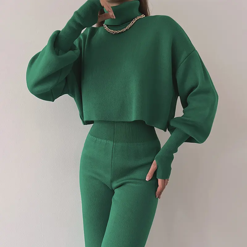 Autumn and Winter New Turtleneck Loose Long Sleeve Top