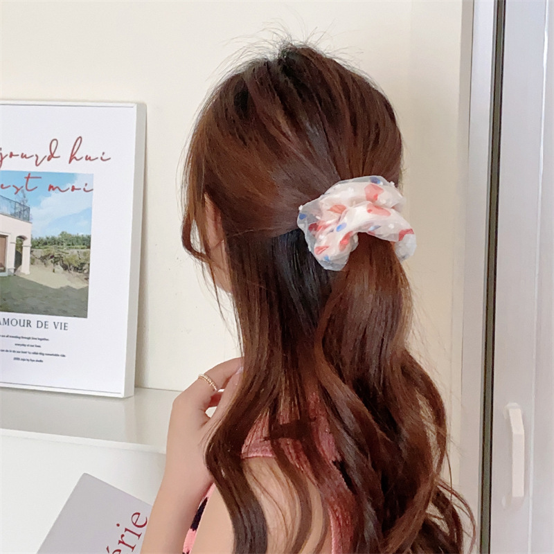 Title 21, Ponytail High Elastic Large Intestine Hair Ring