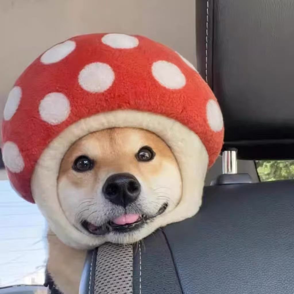 Creative Plush Pet Dog With Mushroom Hat detail photo 3