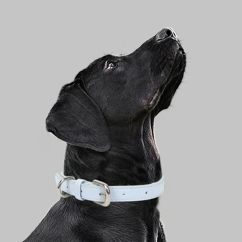 Leather Pet Collar For Small To Medium-sized