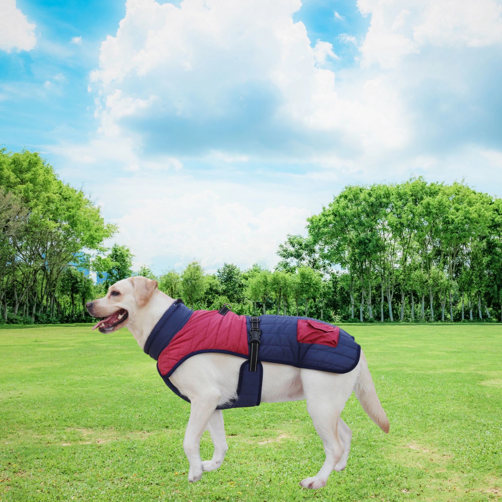 Title 12, Autumn And Winter Thick Warm Dog Coat