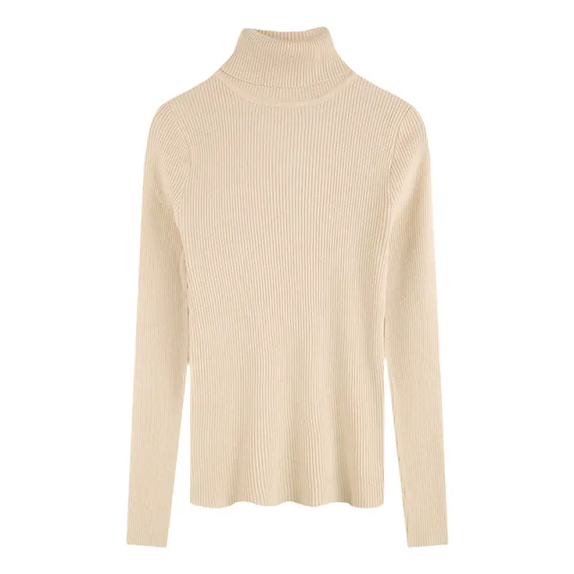 Thickening Inner Wear Skinny Versatile Long Sleeve Thermal Turtleneck Sweater For Women Apricot - Shop at LoveMi
