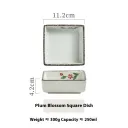 Square Plate