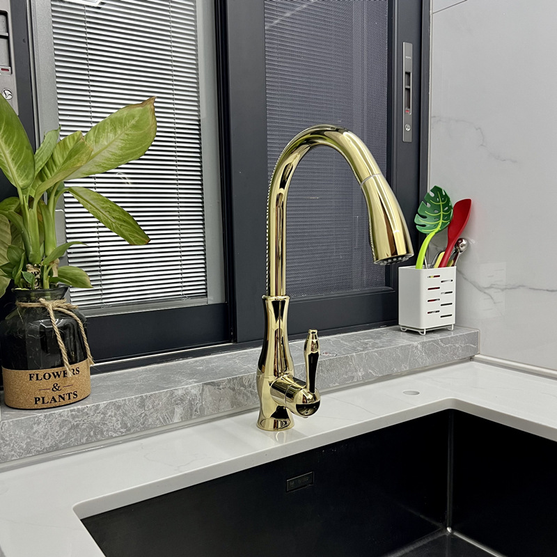 Titanium Gold Pullout Faucet