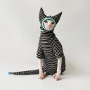 Suit Cap With Tail