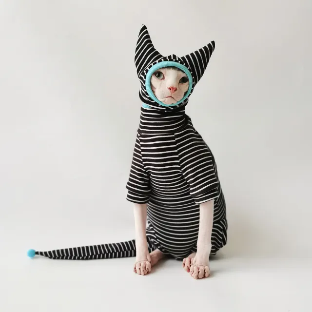 Dralon Bellyband Four legged Pet Clothing Bottoming Shirt Suit Cap With Tail - Shop at LoveMi