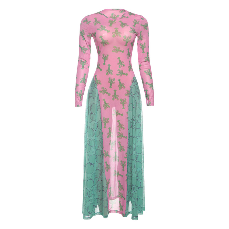 Creative 3D Digital Printed Mesh Color Contrast Patchwork Long Sleeve Dress