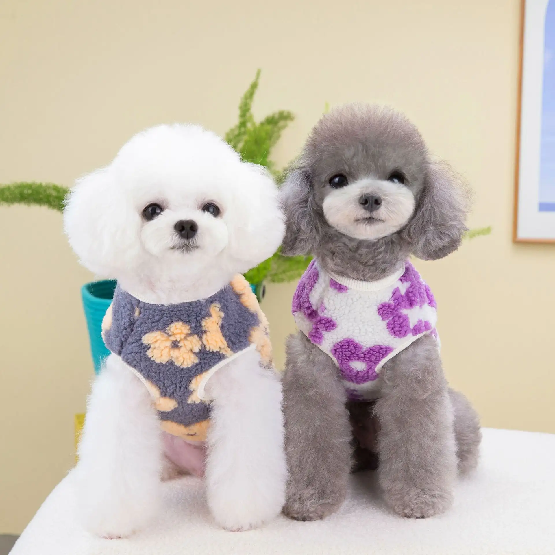 Cat Pet Clothing Winter Five-Petal Flower Velvet Coat