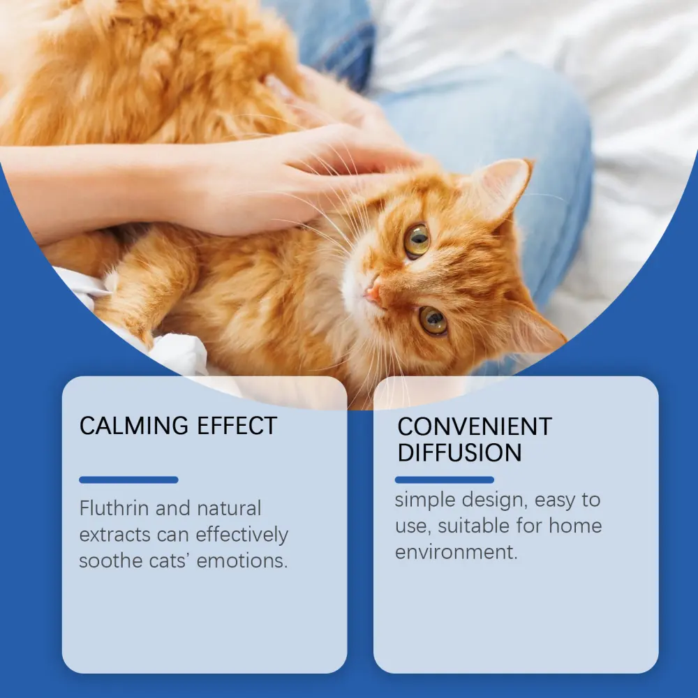 Cat Mood Diffuser Suit