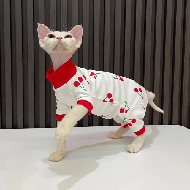 Spring And Autumn Hairless Cat All inclusive Anti lint Sleeved Cat Clothes 2502 Cherry - Shop at LoveMi